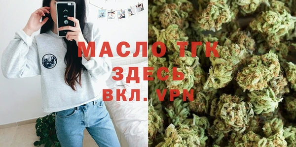 твердый Дмитровск