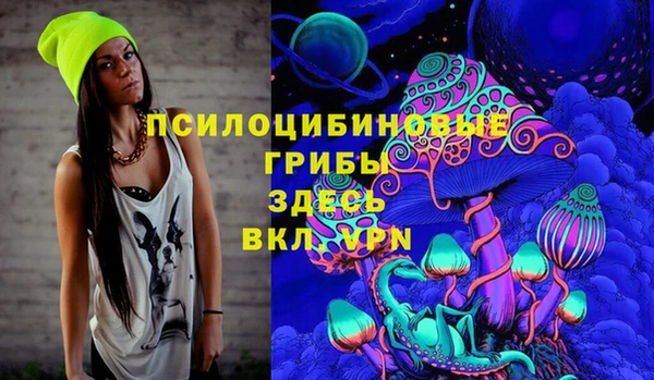 крисы Гусь-Хрустальный