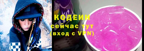 МДПВ Гусев