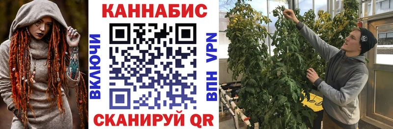МАРИХУАНА Amnesia  Пикалёво 